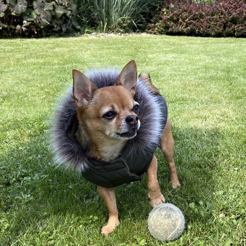 Obleček pro psa s kožešinou Carmen tm. khaki