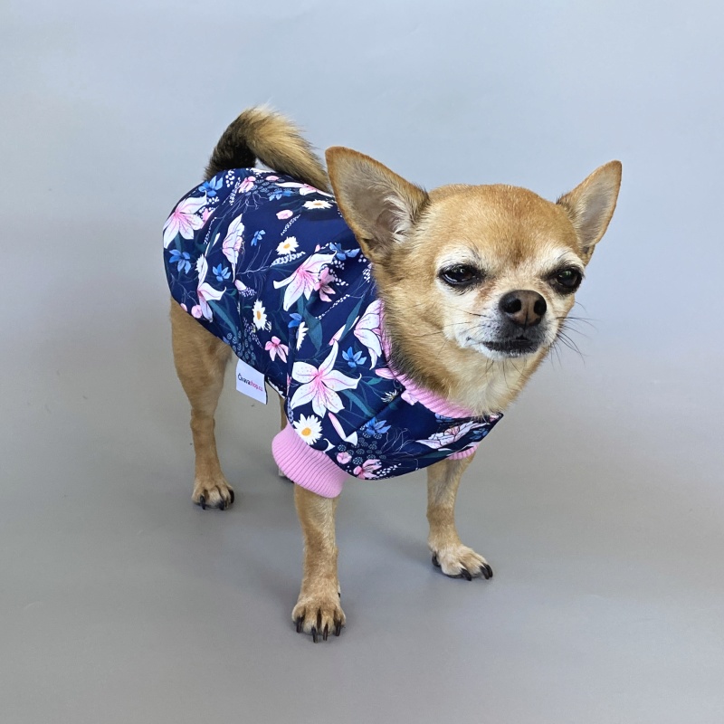 Letní funkční softshellový obleček pro psa Acevedo, modrý letní louka