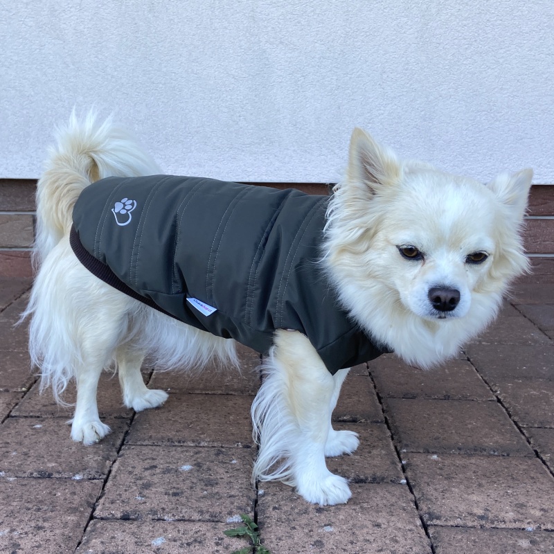 Celoroční obleček pro psa Ami, tmavá khaki