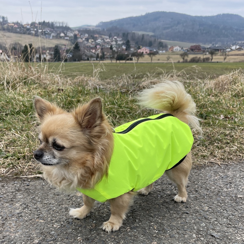 Reflexní jarní bunda pro psa se zipem Bard, neon žlutá