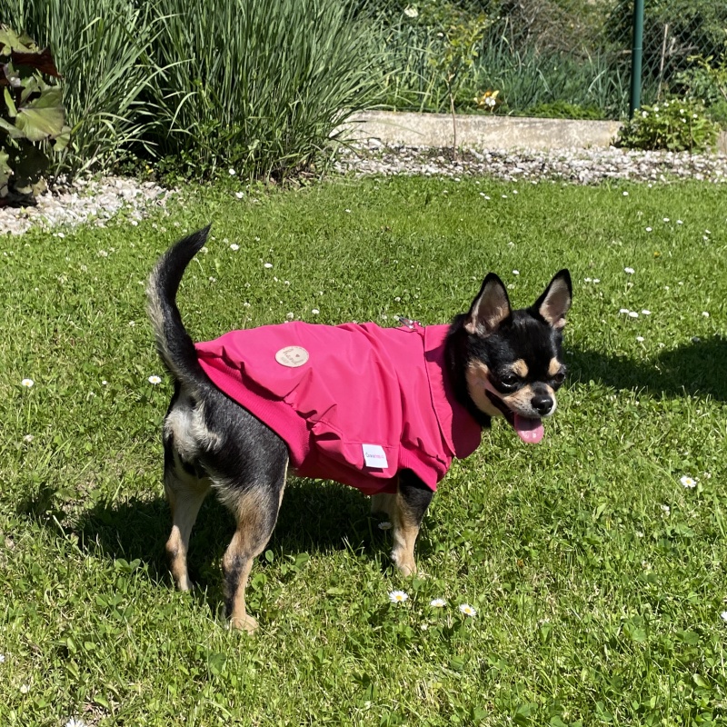 Letní pláštěnka pro psa – tenká s TPU, sytě růžová 🌧️💗