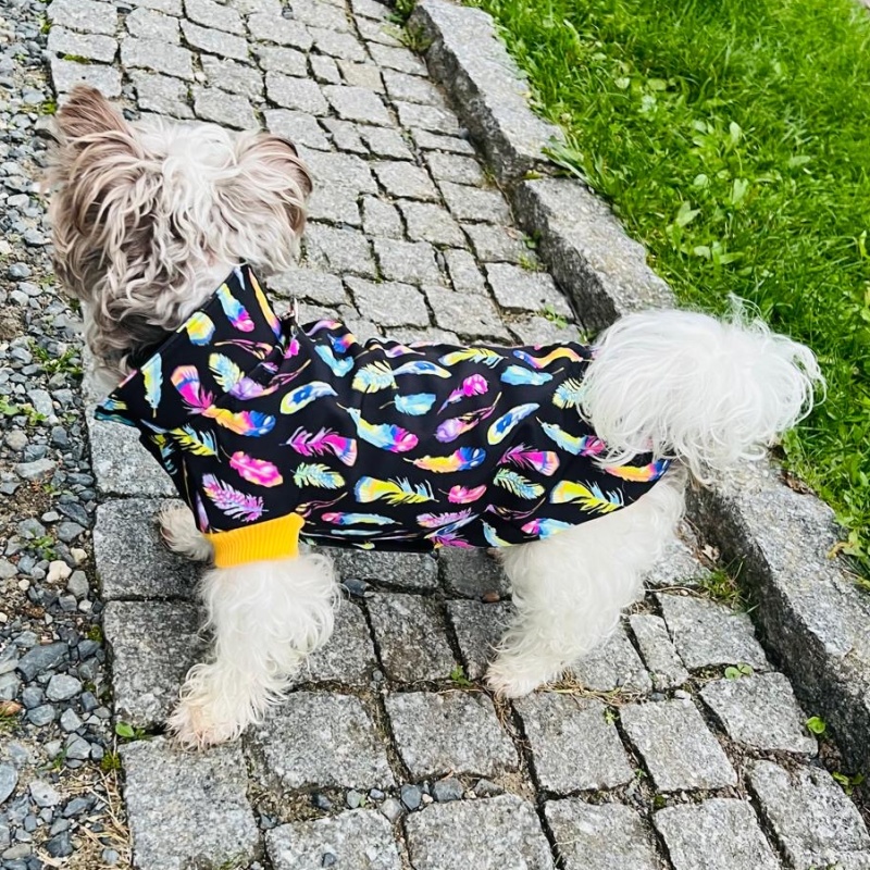 Funkční zimní softshellová pláštěnka pro psy – Barevná peříčka