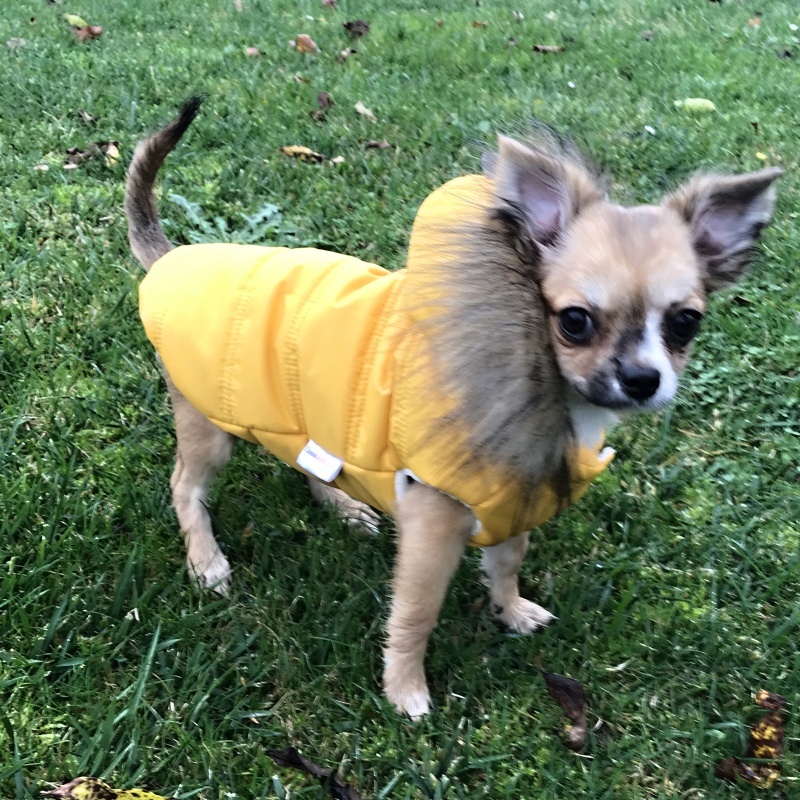 Obleček pro psa s kožešinou Emilia žlutý