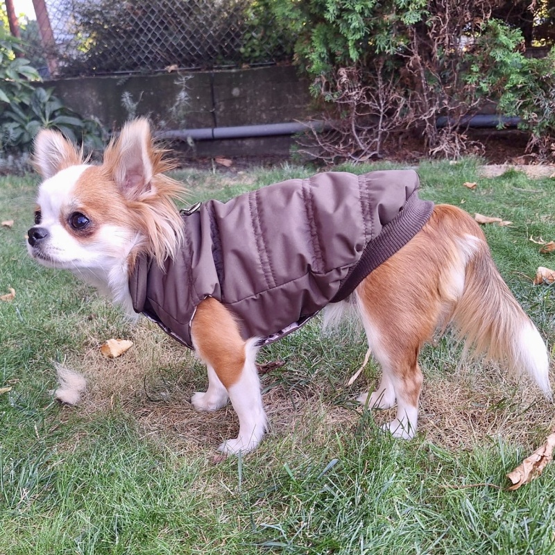 Celoroční obleček pro psa Elizabet, tm. čokoláda