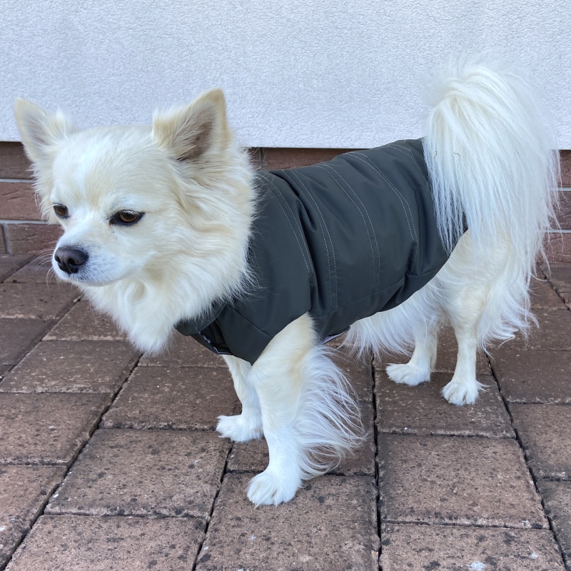 Celoroční obleček pro psa Ami, tmavá khaki