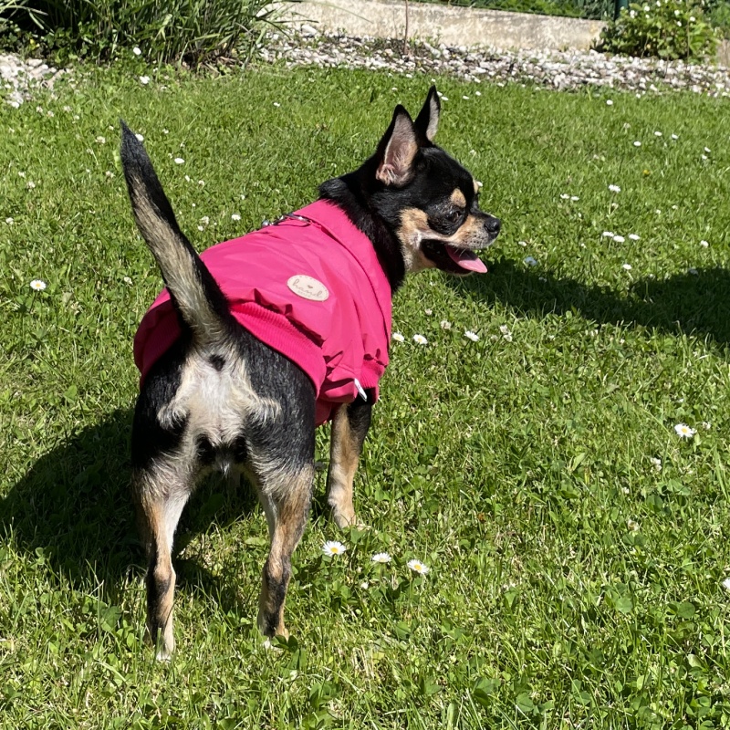 Letní pláštěnka pro psa – tenká s TPU, sytě růžová 🌧️💗