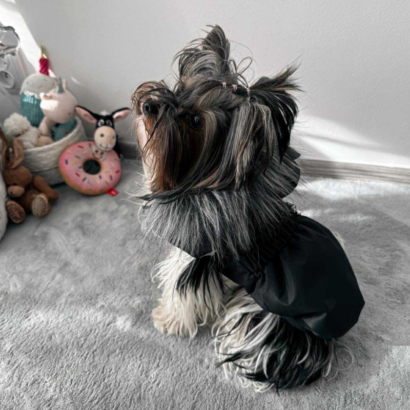 🖤 Elegantní zimní kabátek pro jorkšíry s hladkou podšívkou- černá 