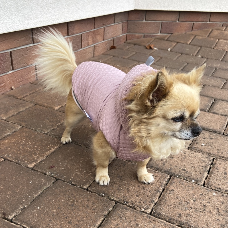 Luxusní kožíšek pro psy Antonie, kouřově růžový