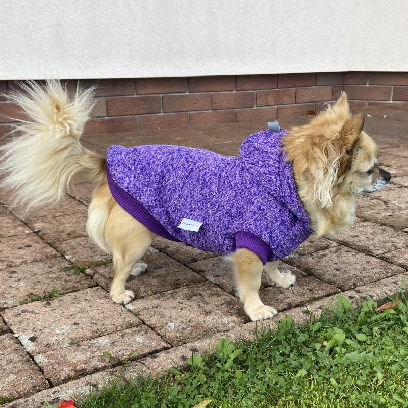 Svetr pro psa – fialový melír s kapucí