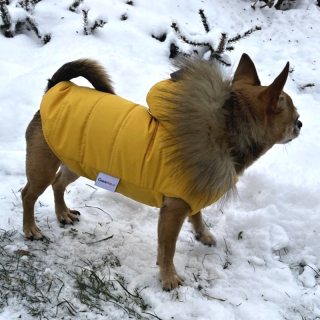 Obleček pro psa s kožešinou Emilia žlutý
