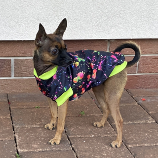 Letní funkční softshellový obleček pro psa Albert, neon cákance