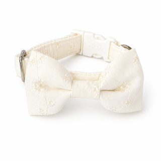 Svatební obojek s mašlí Marie madeira smetenový š. 1,5cm