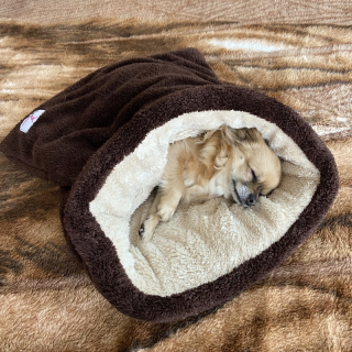 Huňatý pelíšek Tulipytlík TEDDY – hnědokávový sen (45 × 55 cm)