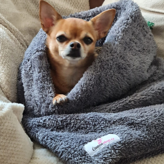 Pelíšek- tulipytlík Pérez 45x55 vyztužený okraj, středně šedý extra huňatý