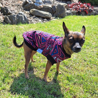 Funkční zimní softshellová bunda pro psa – geometrický vzor, růžová