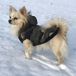 Luxusní zimní obleček pro psa zelený maskáč