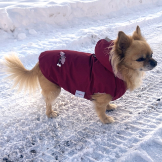 Luxusní pláštěnka/kožíšek pro psa, bordová