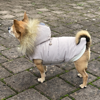 Zimní obleček pro psa s kožešinou bílá káva