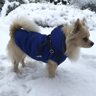 Langi kožíšek Belo modrý s postrojem