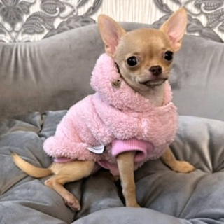 Huňatý kožíšek pro psa baby růžový