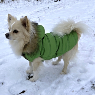 Zimní nepromokavý obleček pro psa – hráškově zelený